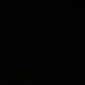 Meet your Posher, Dalton